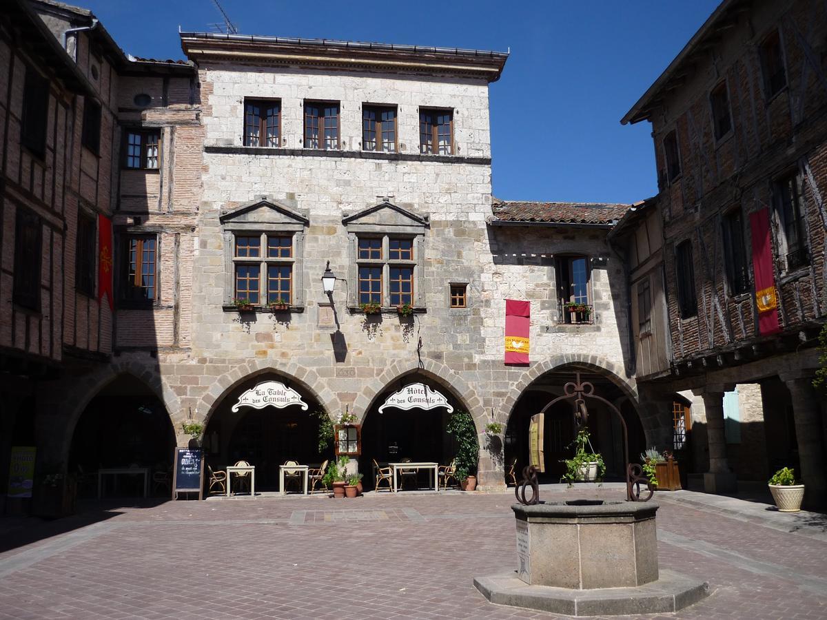 Hotel Des Consuls Castelnau-de-Montmiral المظهر الخارجي الصورة